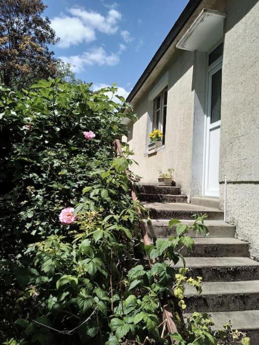 Maison De Village En Bord De Riviere Narcy Exterior foto